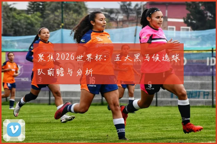 聚焦2026世界杯：五大黑马候选球队前瞻与分析